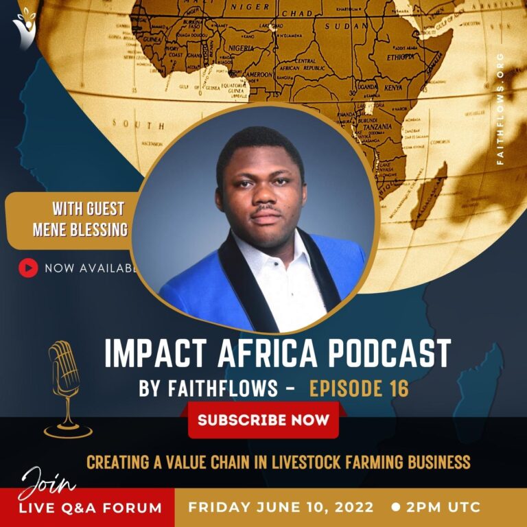Creating A Value Chain in Livestock Farming-Impact Africa Episode 16
